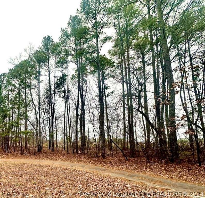 0.85 Acres of Residential Land for Sale in West End, North Carolina