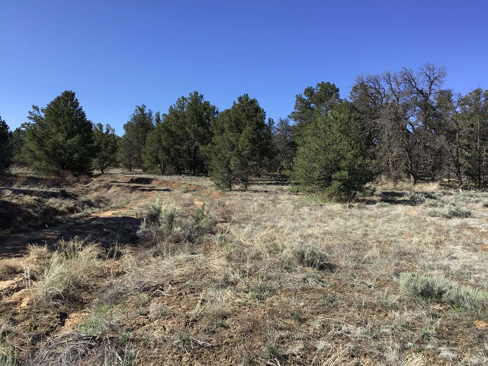 8.8 Acres of Residential Land for Sale in Ramah, New Mexico