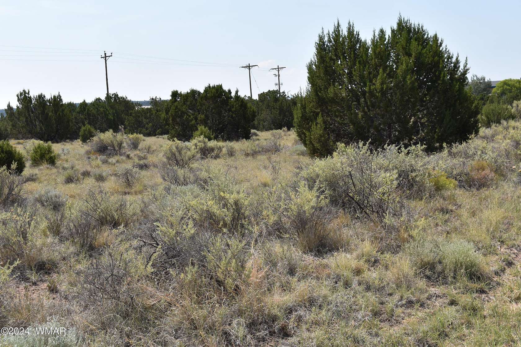 0.68 Acres of Residential Land for Sale in Concho, Arizona