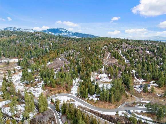 79.7 Acres of Agricultural Land for Sale in Rathdrum, Idaho