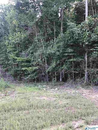 4.7 Acres of Land for Sale in Moulton, Alabama