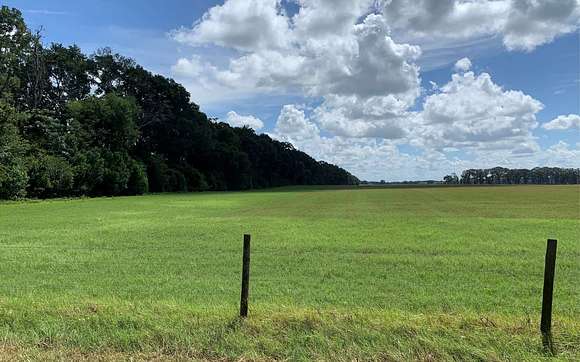 20 Acres of Agricultural Land for Sale in Live Oak, Florida