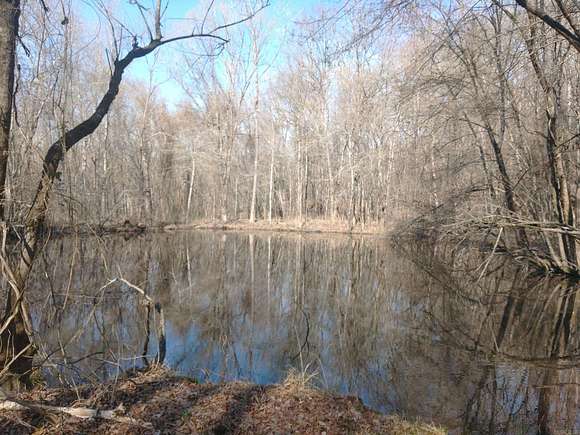 40 Acres of Recreational Land for Sale in Parks, Arkansas