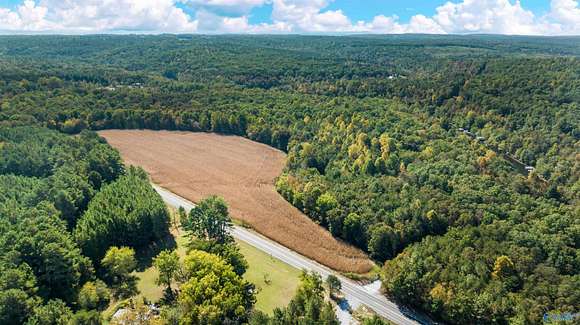 21 Acres of Land for Sale in Mentone, Alabama