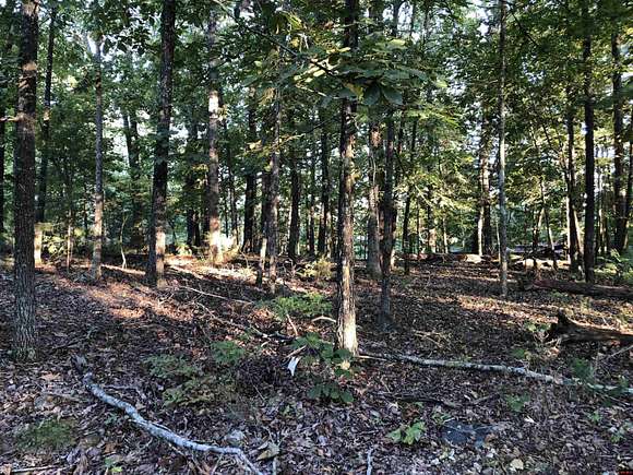 0.23 Acres of Land for Sale in Bull Shoals, Arkansas