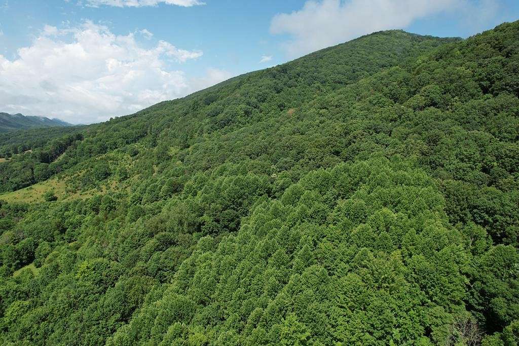 48.7 Acres of Land for Sale in Saltville, Virginia