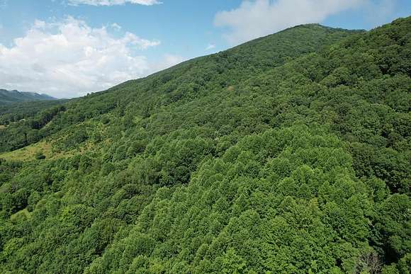48.7 Acres of Land for Sale in Saltville, Virginia