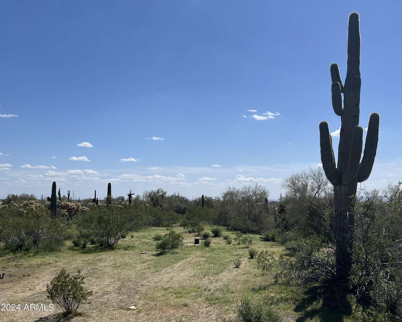 1.1 Acres of Residential Land for Sale in Mesa, Arizona