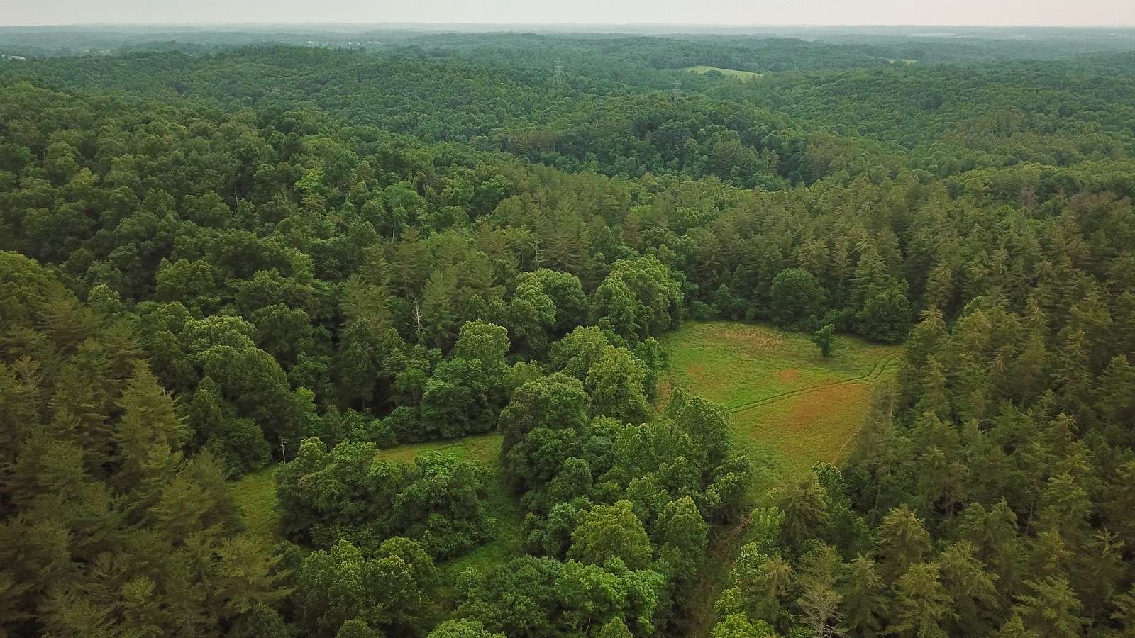 95 Acres of Land for Sale in Jackson, Ohio