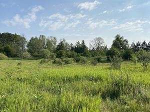 12.7 Acres of Recreational Land for Sale in Roscommon, Michigan