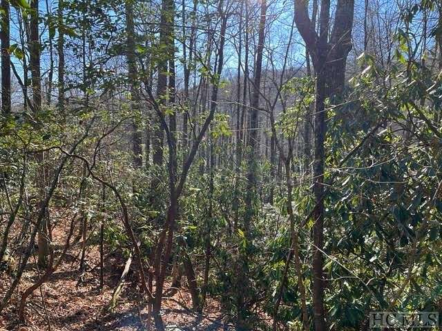 0.8 Acres of Residential Land for Sale in Sapphire, North Carolina