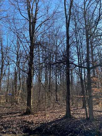 Land for Sale in Mount Gilead, Ohio
