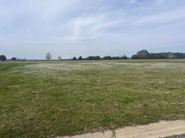 1 Acre of Residential Land for Sale in Stuttgart, Arkansas