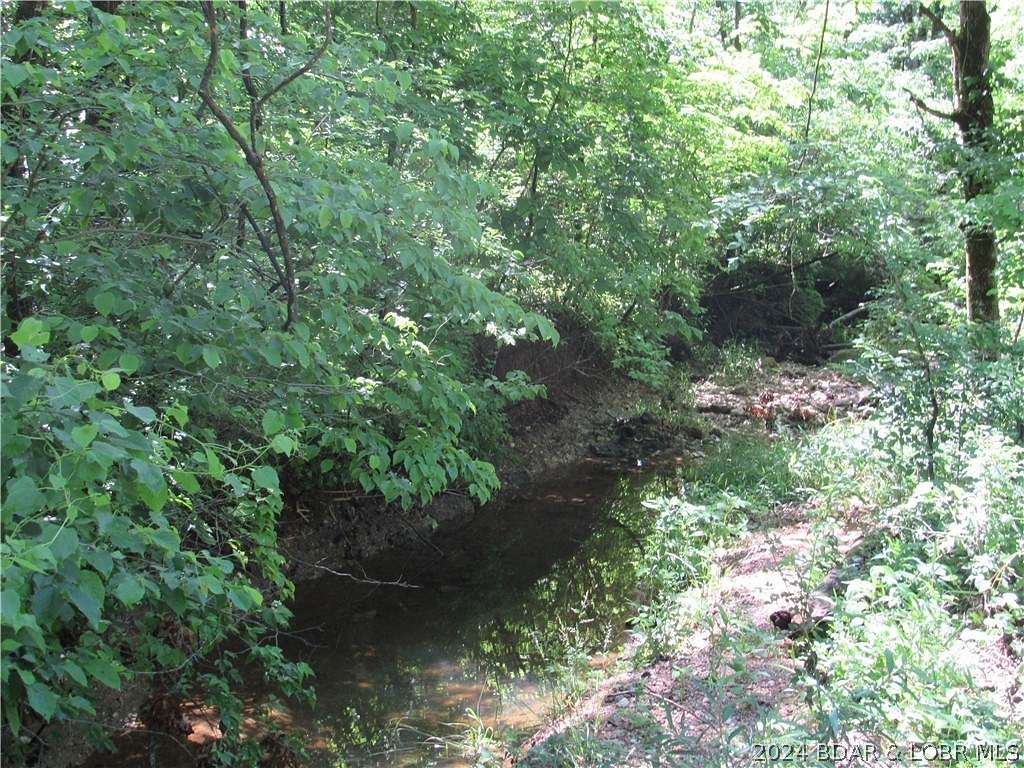 60 Acres of Recreational Land for Sale in Rocky Mount, Missouri