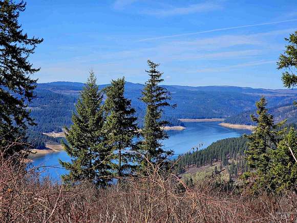 20 Acres of Recreational Land for Sale in Orofino, Idaho