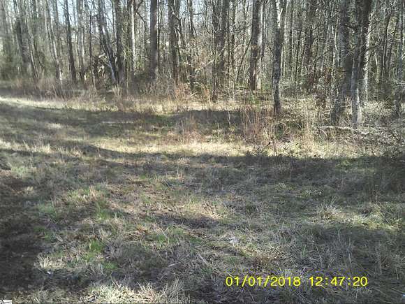 2 Acres of Land for Sale in Marietta, South Carolina
