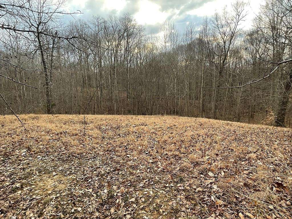 14.3 Acres of Recreational Land for Sale in Springville, Tennessee