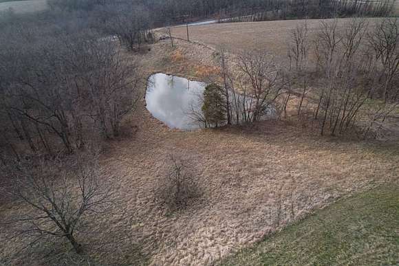 80 Acres of Recreational Land & Farm for Sale in Pearl, Illinois