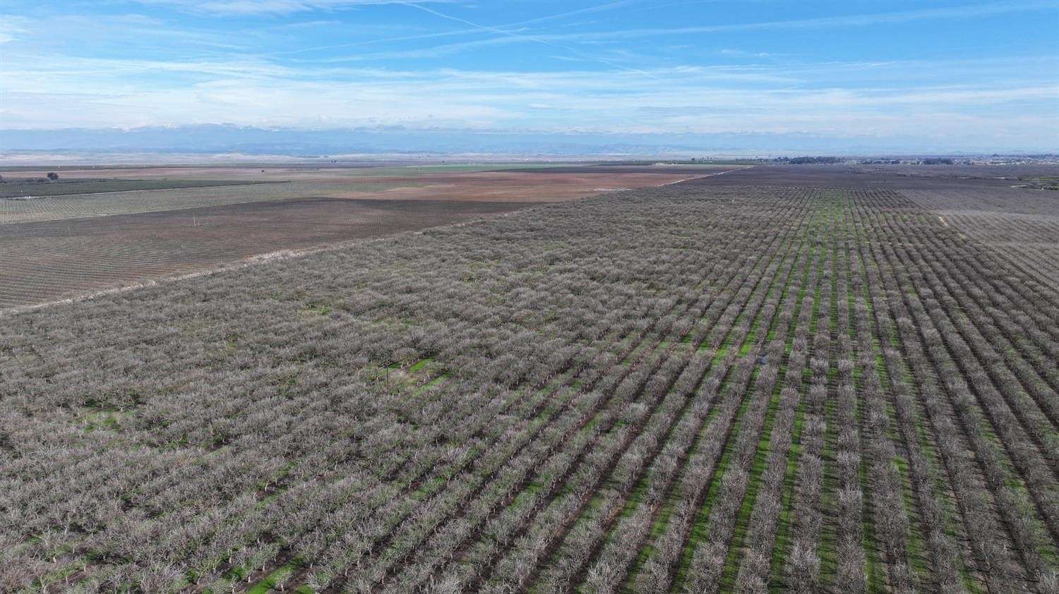 160 Acres of Agricultural Land for Sale in Madera, California