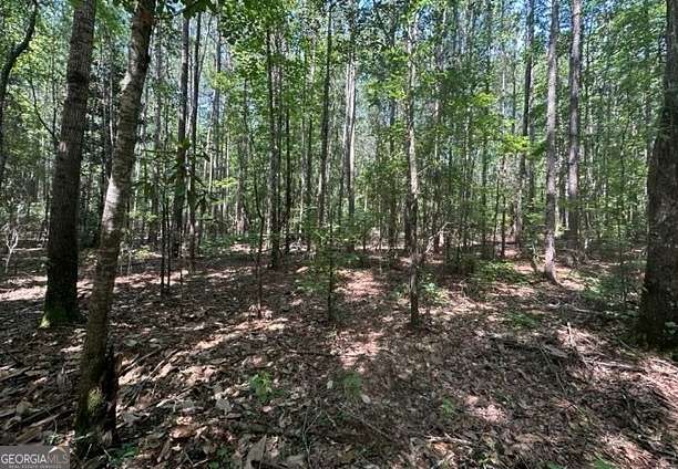 3.9 Acres of Residential Land for Sale in Manchester, Georgia