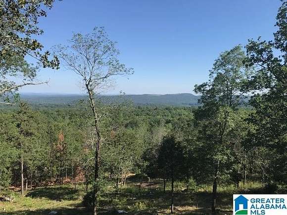 56 Acres of Land for Sale in Leeds, Alabama