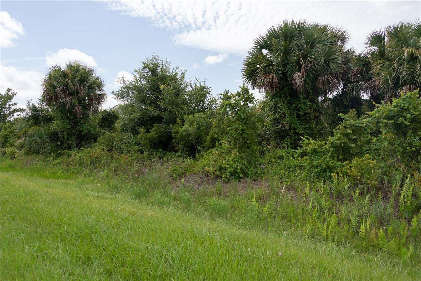 1.25 Acres of Land for Sale in Okeechobee, Florida