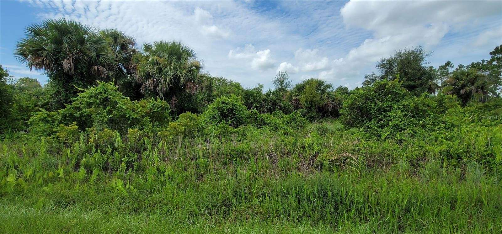 1.25 Acres of Land for Sale in Okeechobee, Florida