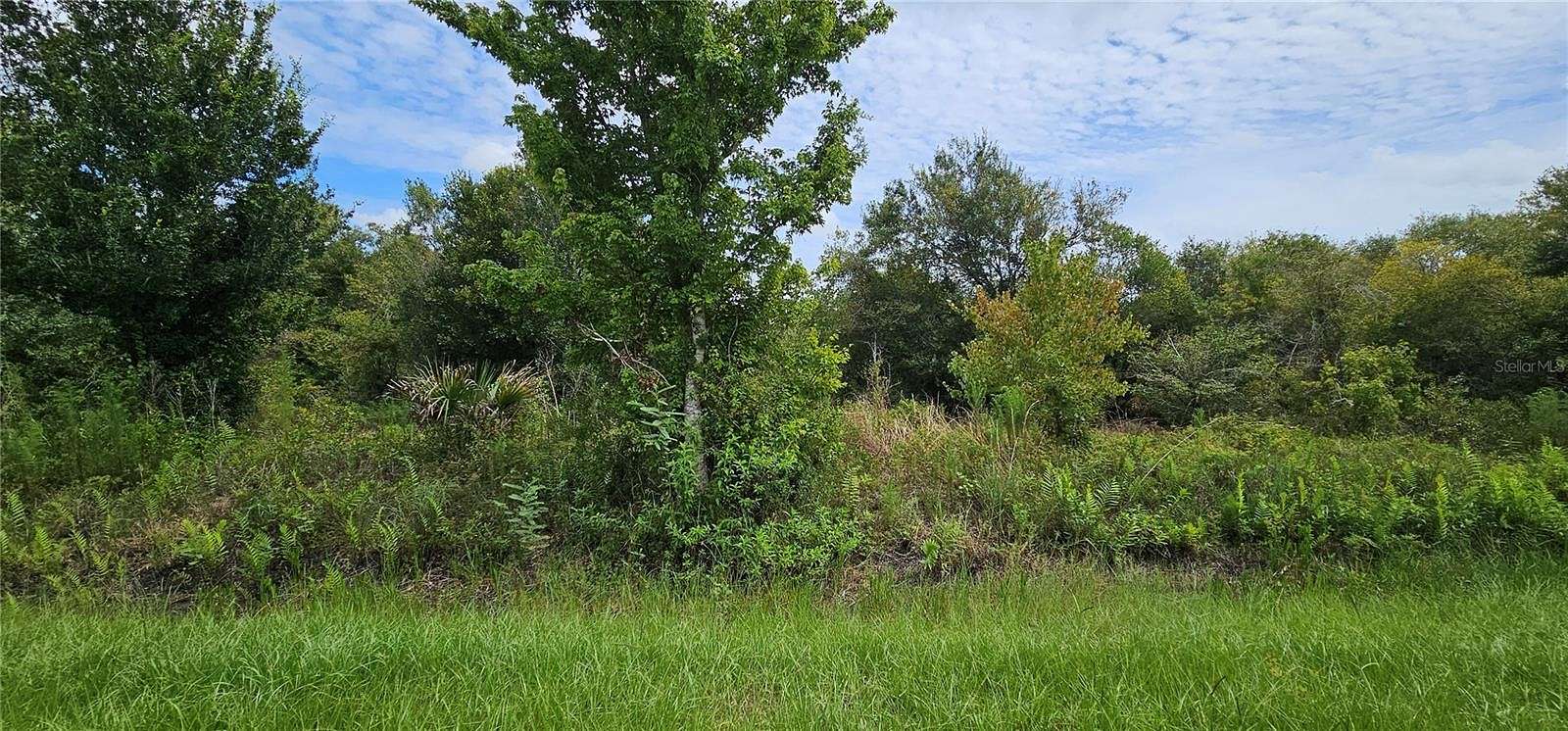 1.25 Acres of Land for Sale in Okeechobee, Florida