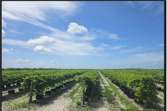 13.2 Acres of Land for Sale in LaBelle, Florida