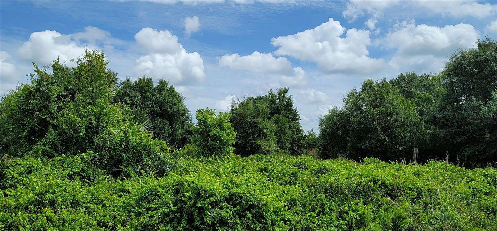 1.25 Acres of Land for Sale in Okeechobee, Florida