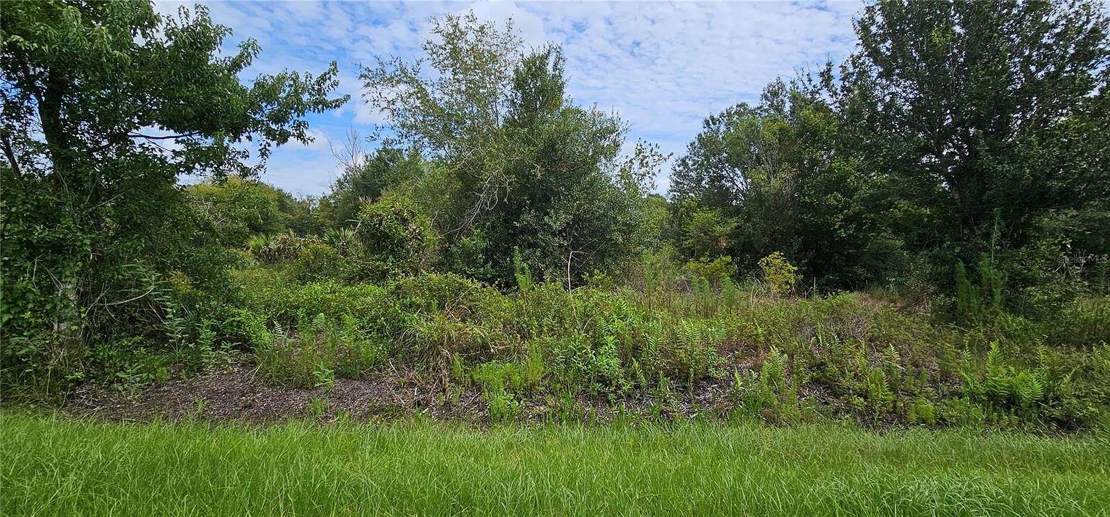 1.25 Acres of Land for Sale in Okeechobee, Florida