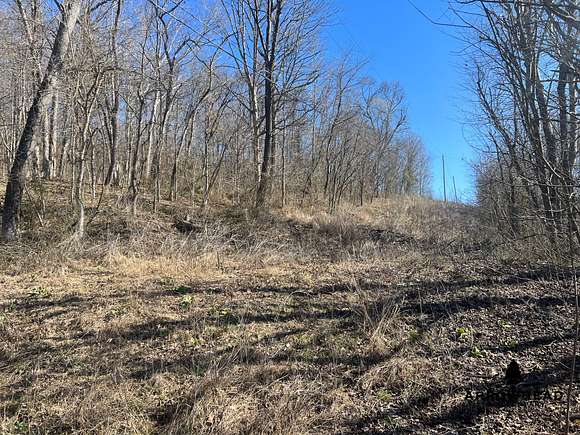 30 Acres of Recreational Land for Sale in Vinton, Ohio