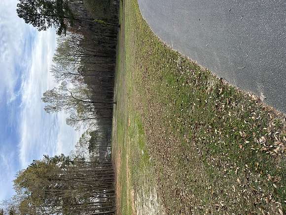 1.4 Acres of Residential Land for Sale in Summerton, South Carolina