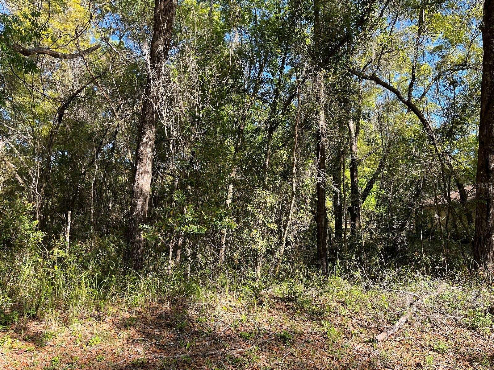 0.37 Acres of Residential Land for Sale in Dunnellon, Florida