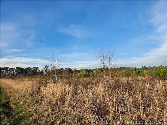 27 Acres of Land for Sale in Wade, North Carolina