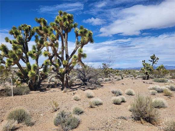 1 Acre of Residential Land for Sale in Meadview, Arizona