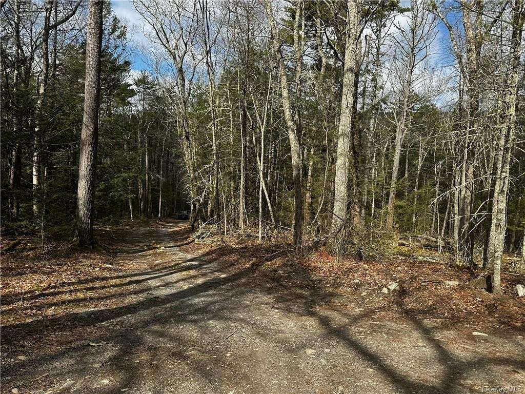 2 Acres of Residential Land for Sale in Mamakating Town, New York