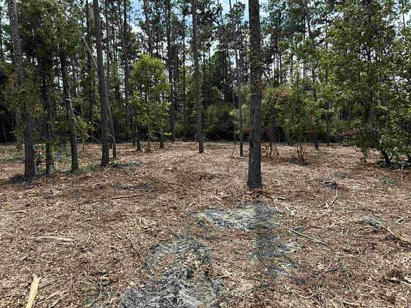 0.98 Acres of Residential Land for Sale in Marianna, Florida