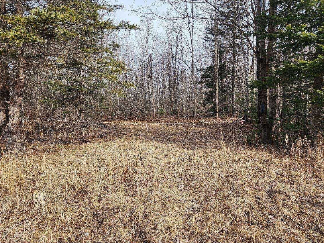 15 Acres of Recreational Land for Sale in Sugar Island, Michigan
