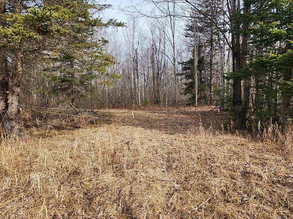 15 Acres of Recreational Land for Sale in Sugar Island, Michigan
