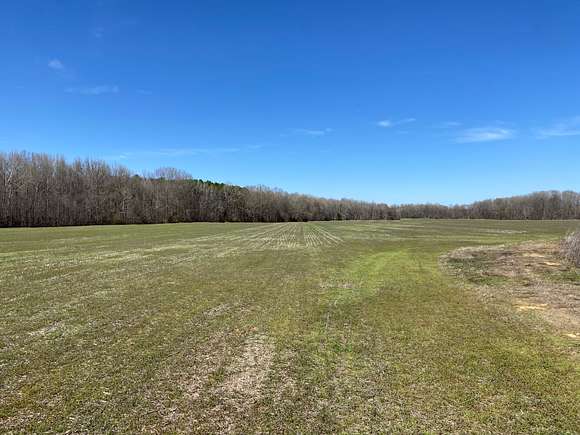 120 Acres of Recreational Land for Sale in Courtland, Mississippi