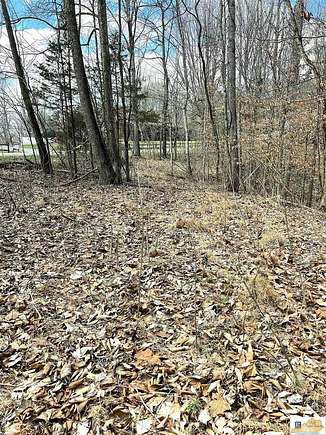 25 Acres of Land for Sale in Columbia, Kentucky