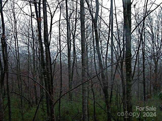 1.6 Acres of Residential Land for Sale in Swannanoa, North Carolina