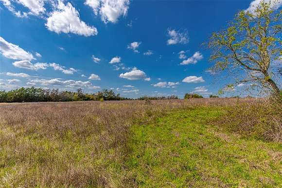 38.7 Acres of Land with Home for Sale in Bellville, Texas