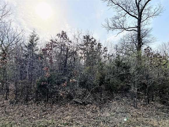 0.78 Acres of Residential Land for Sale in Bonne Terre, Missouri
