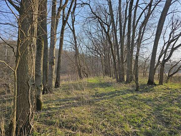 65.7 Acres of Recreational Land & Farm for Sale in Laurel, Indiana