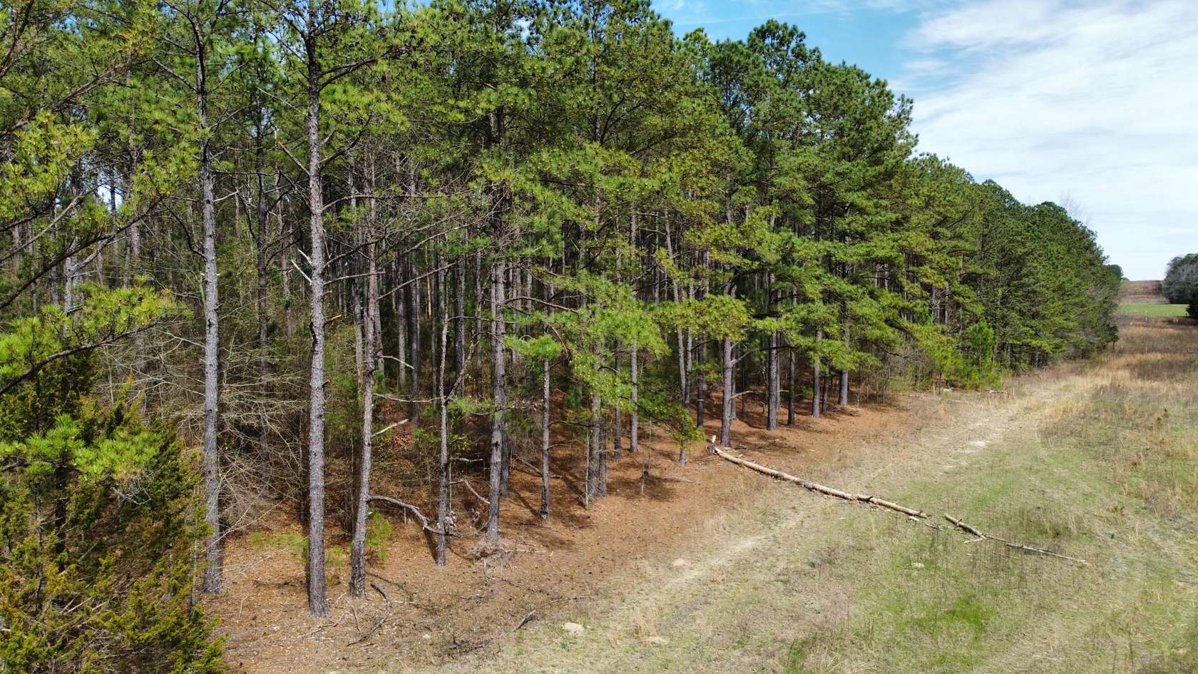 11 Acres of Improved Land for Sale in Opelika, Alabama