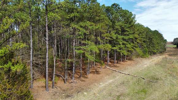 11 Acres of Land for Sale in Opelika, Alabama