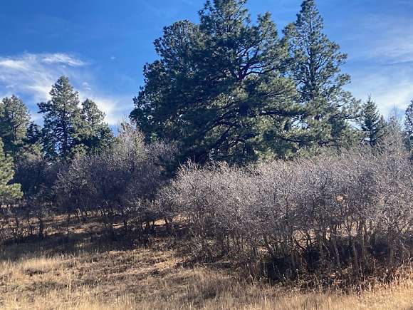 1 Acre of Residential Land for Sale in Ridgway, Colorado