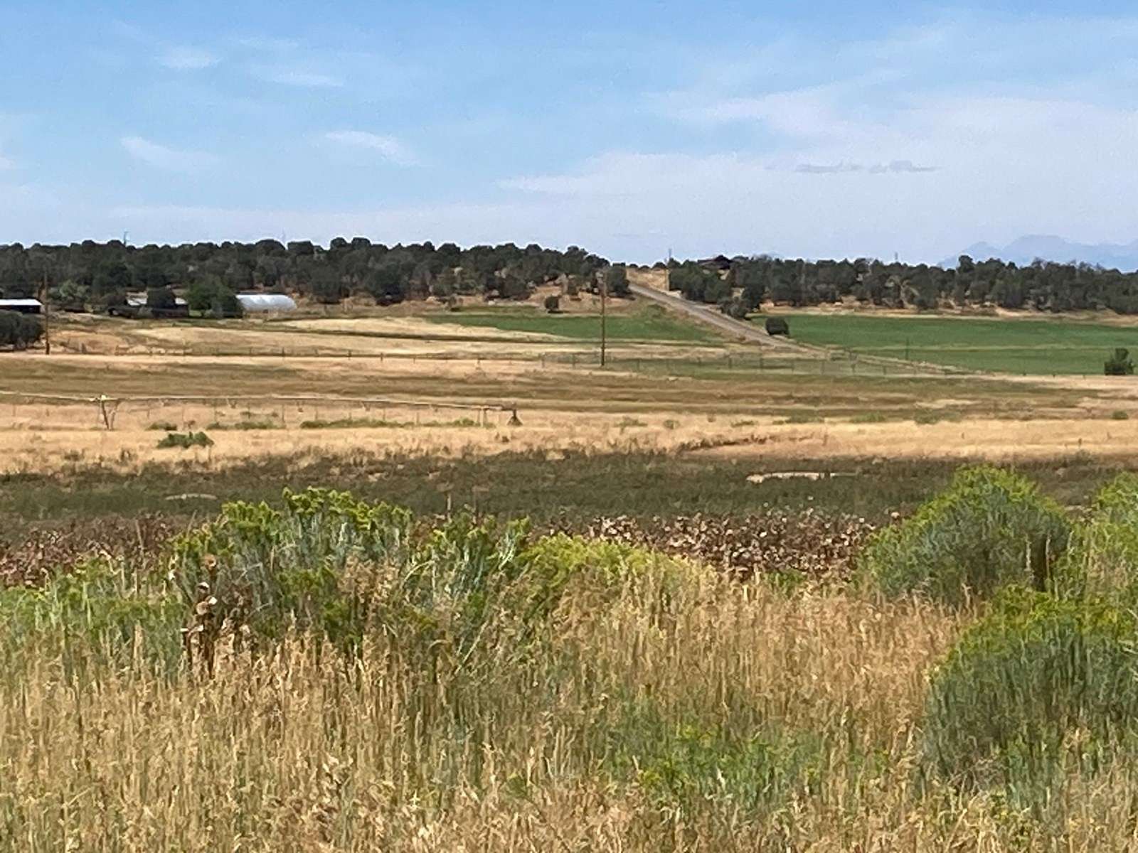 80 Acres of Recreational Land & Farm for Sale in Norwood, Colorado